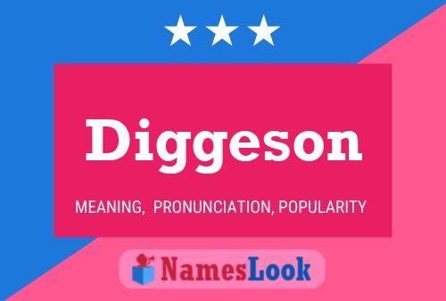 ملصق اسم Diggeson