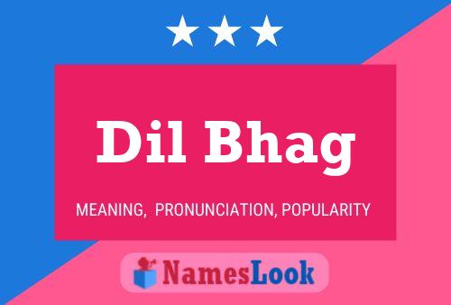 ملصق اسم Dil Bhag