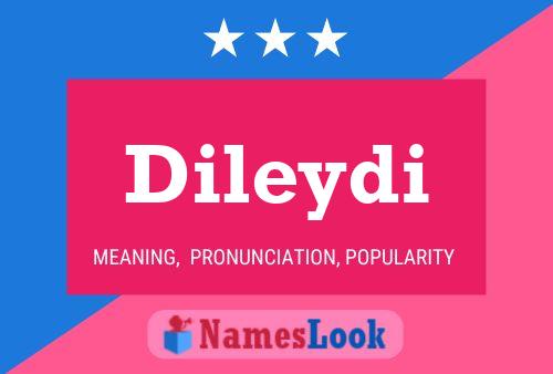 ملصق اسم Dileydi