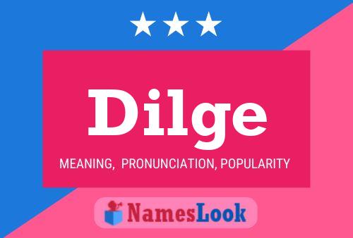 ملصق اسم Dilge