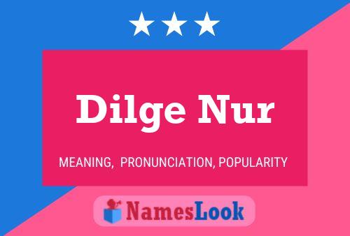 ملصق اسم Dilge Nur