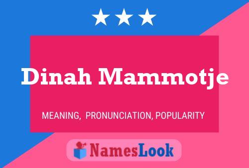 ملصق اسم Dinah Mammotje