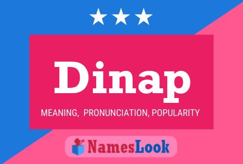 ملصق اسم Dinap