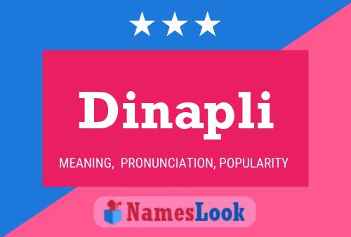 ملصق اسم Dinapli