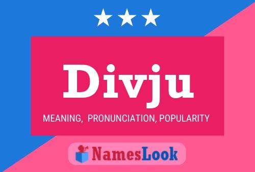 ملصق اسم Divju