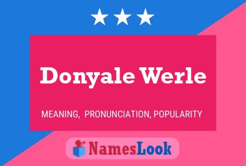 ملصق اسم Donyale Werle