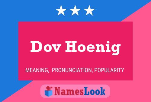 ملصق اسم Dov Hoenig