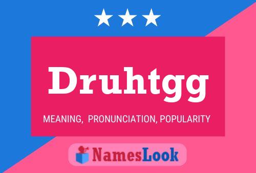 ملصق اسم Druhtgg