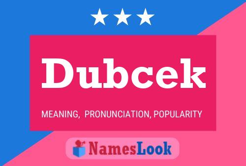 ملصق اسم Dubcek