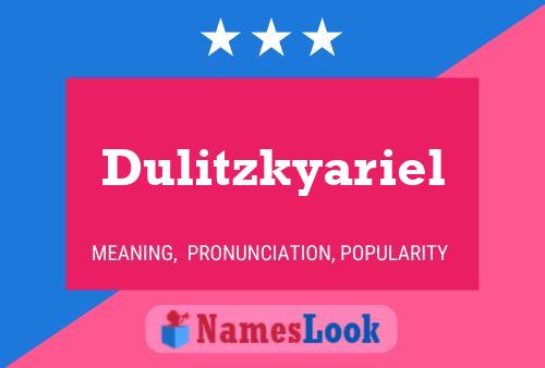 ملصق اسم Dulitzkyariel