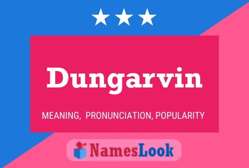 ملصق اسم Dungarvin