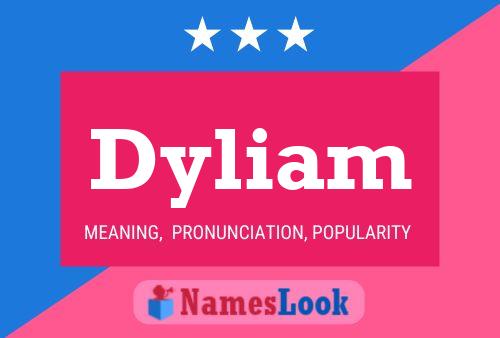 ملصق اسم Dyliam