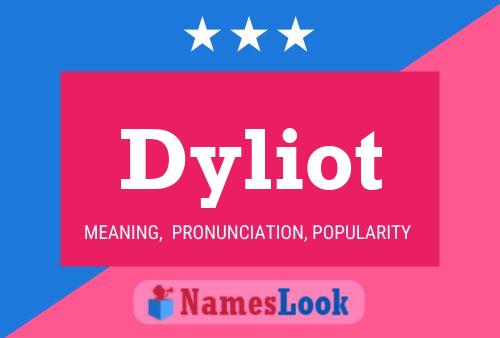 ملصق اسم Dyliot