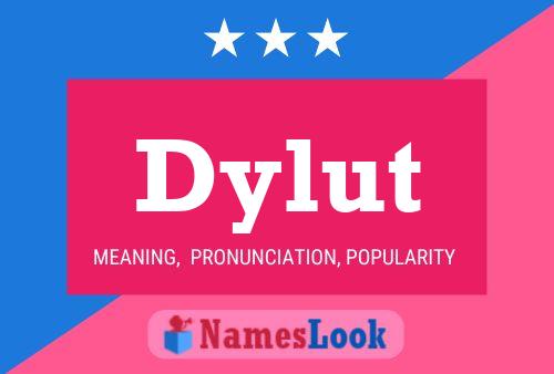 ملصق اسم Dylut