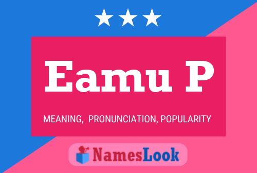 ملصق اسم Eamu P