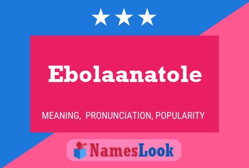 ملصق اسم Ebolaanatole