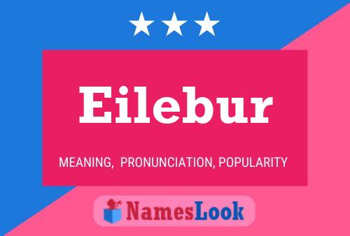 ملصق اسم Eilebur