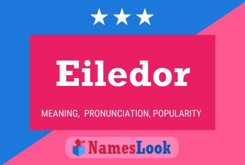 ملصق اسم Eiledor