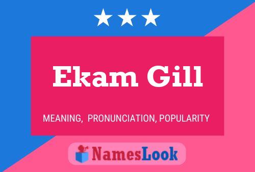 ملصق اسم Ekam Gill