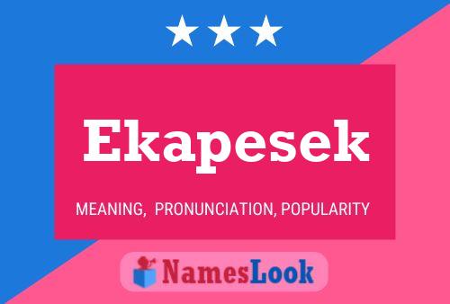 ملصق اسم Ekapesek