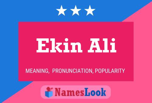 ملصق اسم Ekin Ali