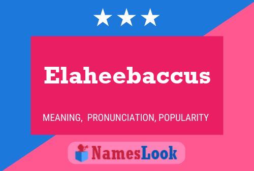 ملصق اسم Elaheebaccus