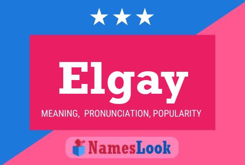 ملصق اسم Elgay