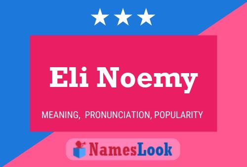 ملصق اسم Eli Noemy