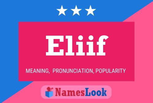 ملصق اسم Eliif