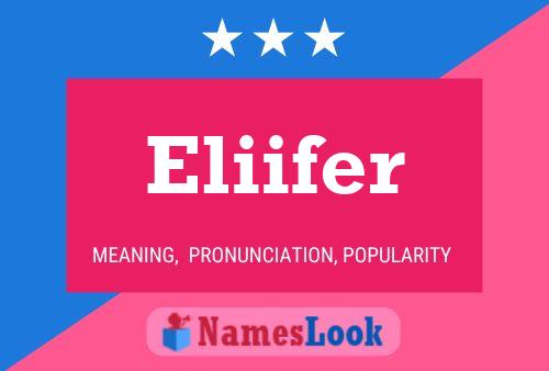 ملصق اسم Eliifer