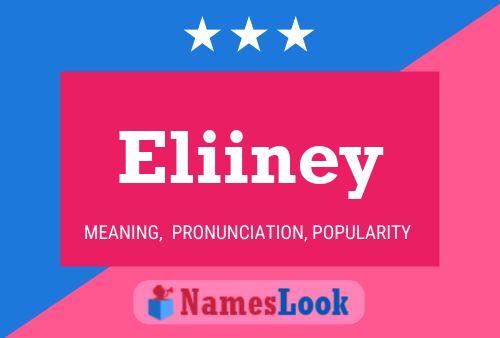 ملصق اسم Eliiney