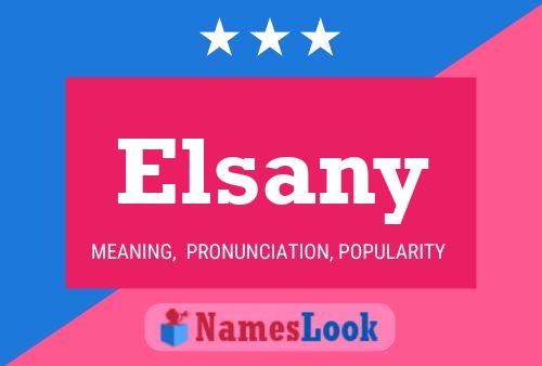 ملصق اسم Elsany