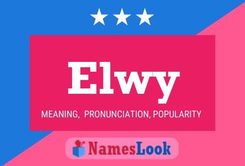 ملصق اسم Elwy