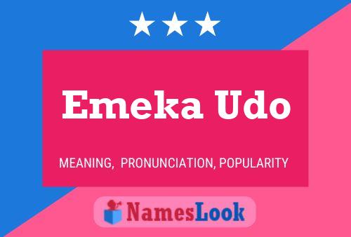 ملصق اسم Emeka Udo