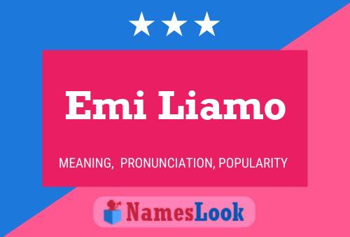 ملصق اسم Emi Liamo