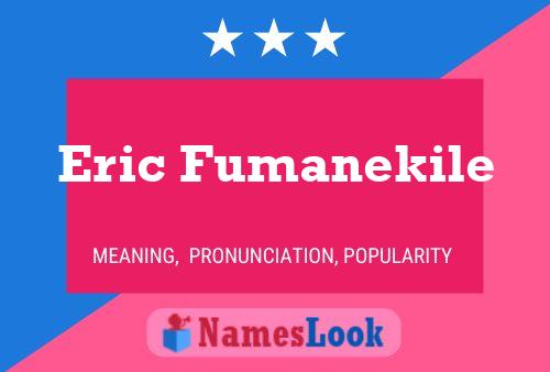 ملصق اسم Eric Fumanekile