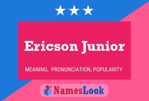 ملصق اسم Ericson Junior