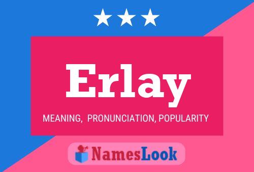 ملصق اسم Erlay