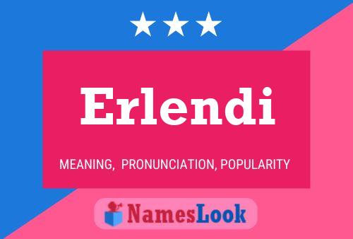 ملصق اسم Erlendi