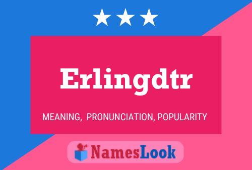 ملصق اسم Erlingdtr