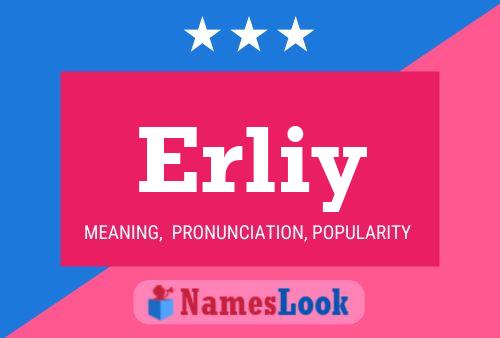 ملصق اسم Erliy