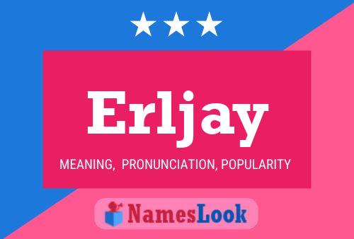 ملصق اسم Erljay