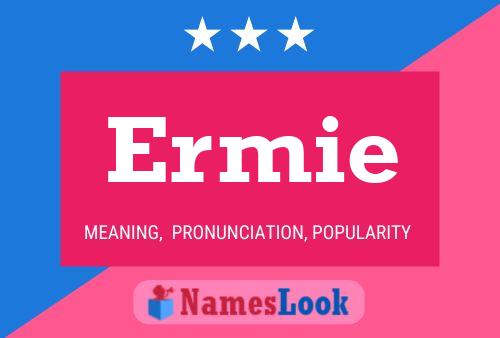 ملصق اسم Ermie