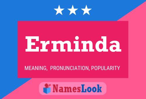 ملصق اسم Erminda