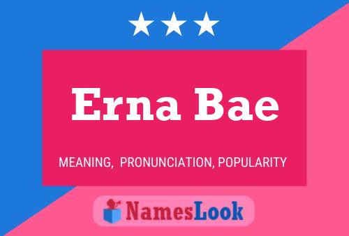 ملصق اسم Erna Bae