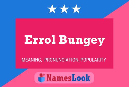 ملصق اسم Errol Bungey