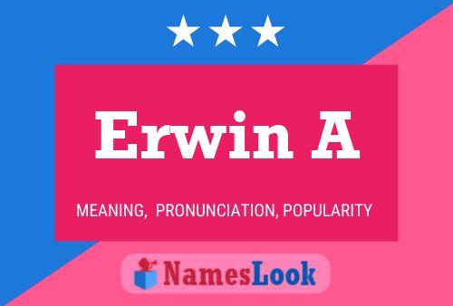 ملصق اسم Erwin A