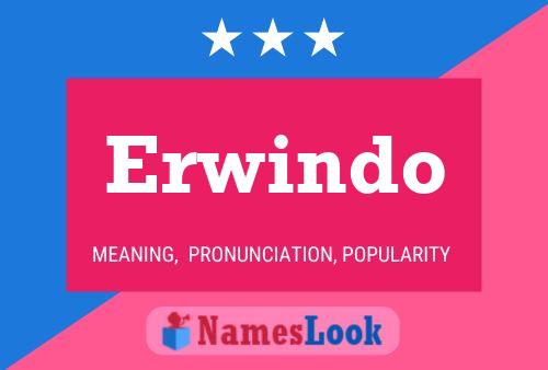 ملصق اسم Erwindo