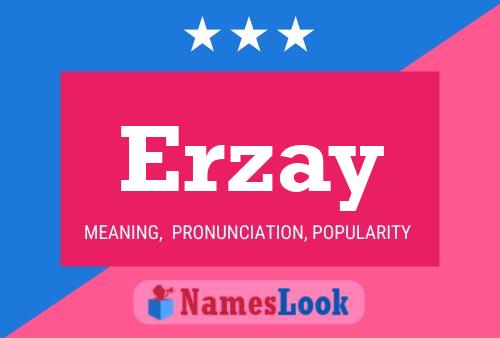 ملصق اسم Erzay