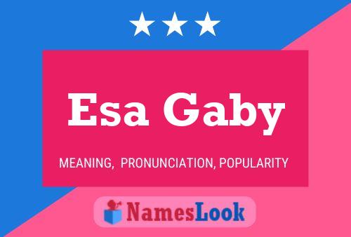 ملصق اسم Esa Gaby